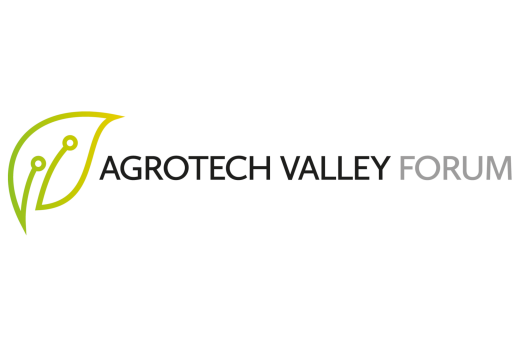 AVF
