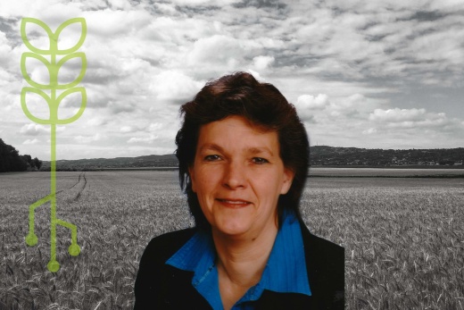 Experimentierfeld_Carmen_Fuchsenthaler