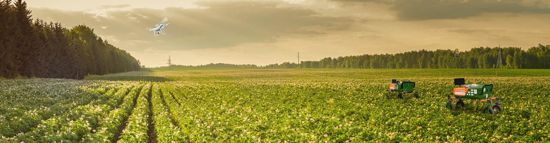 Agrotech Valley